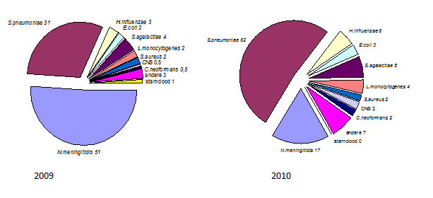 Percentuele verdeling van de verwekkers van bacteriële meningitis;