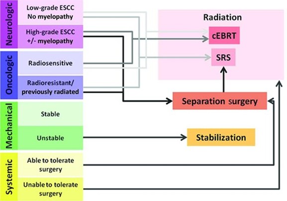 Figure 1 Schematic depiction of NOMS decision framework