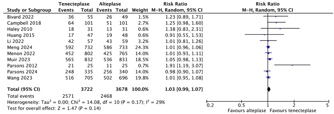 Figure 1b Good functional outcome