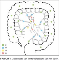 Figuur 1 Classificatie lymfeklierstations