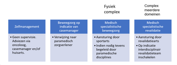 Figuur 1 Disciplines in beweegzorg
