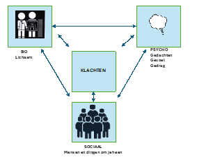 Figuur 1 Het Biopsychosociale model 1980