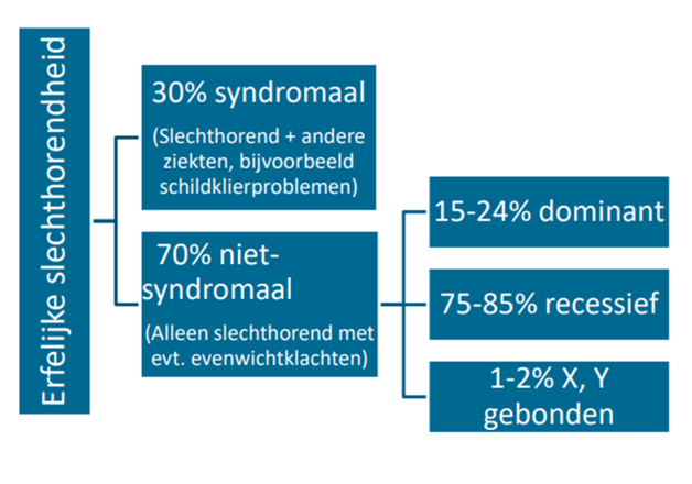 Figuur 1 Oorzaken van erfelijke slechthorendheid