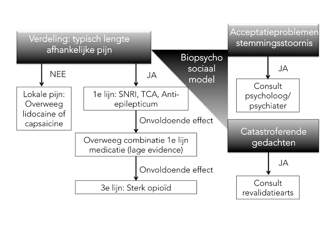 Figuur 1. Behandeling volgens het biopsychosociale model