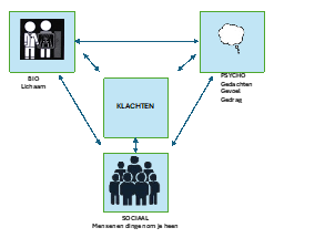 Figuur 1 Het biopsychosociale model