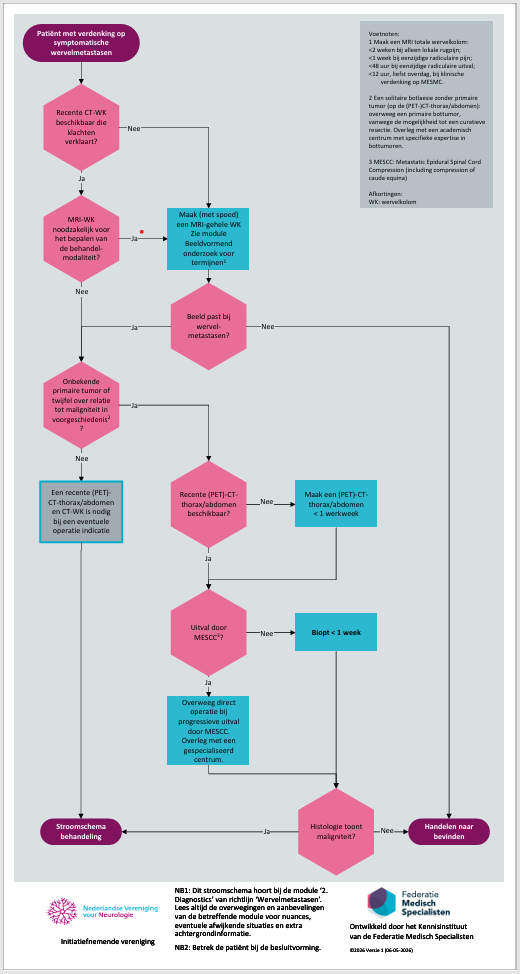 Flowchart of diagnostics Wervermetastsen