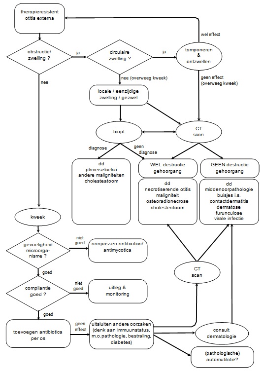 Flowdiagram persisterende OE