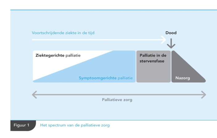 Palliatieve Zorg Bij Hersenmetastasen - Richtlijn - Richtlijnendatabase