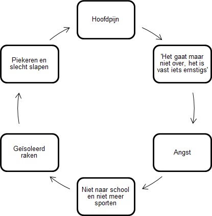 Pijn Gevolgen Model