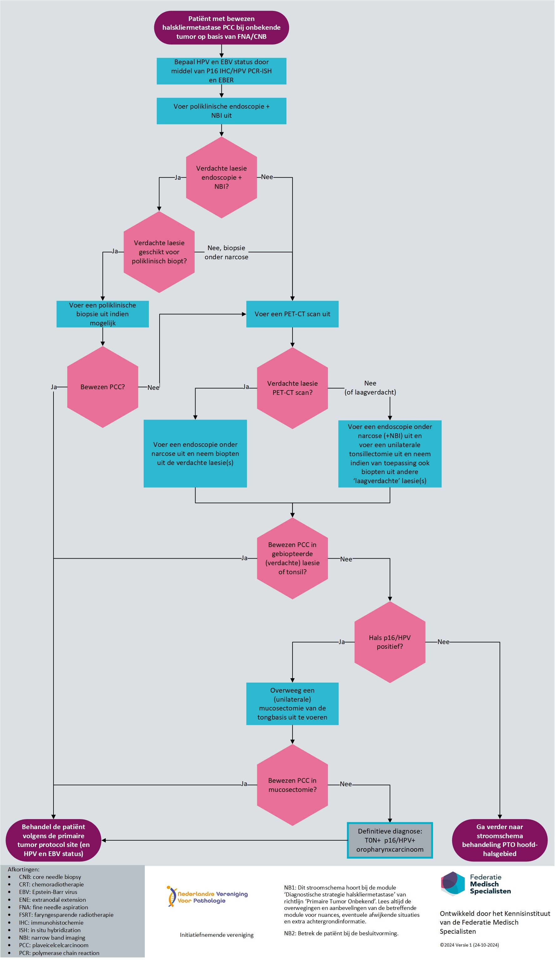 Stroomschema Diagnostiek halskliermetastasen