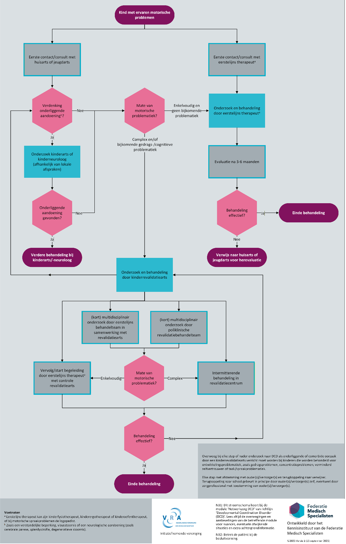 Stroomschema Netwerkzorg 1